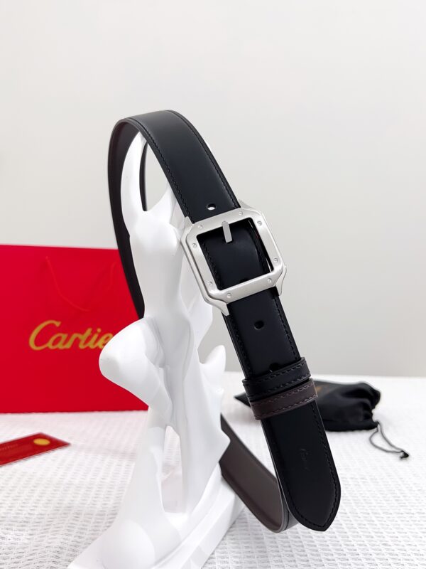 13406725533419728 Cartier Limited Edition Replica Belt
