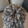 Dior Original Baseball Cap