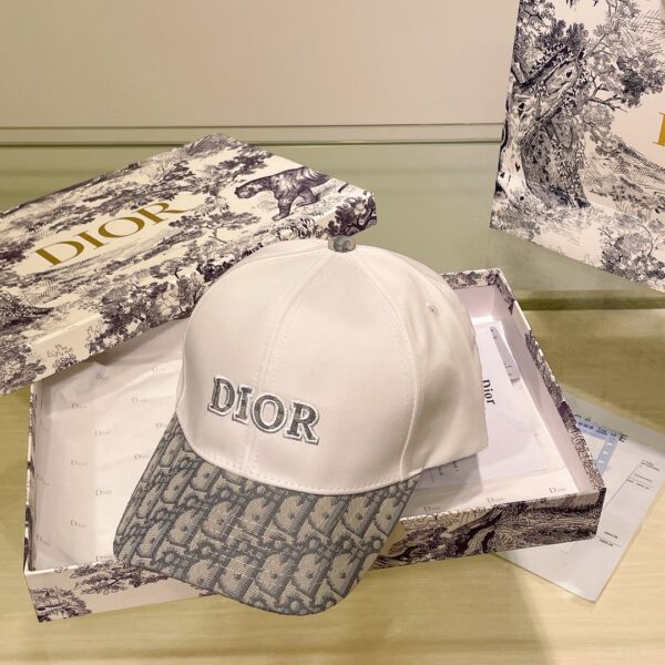 Dior Embroidered Baseball Cap (Original Quality)