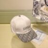 Dior Embroidered Baseball Cap (Original Quality)