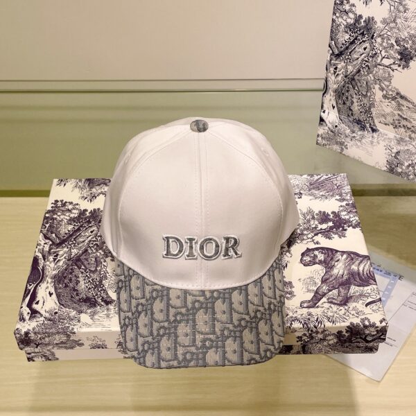 Dior Embroidered Baseball Cap (Original Quality)