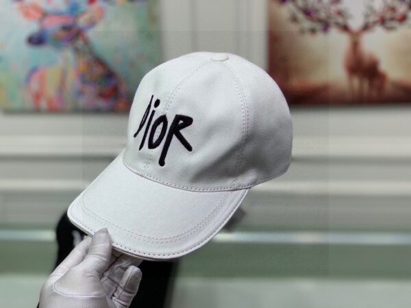 Dior Embroidered Baseball Cap (Original Quality)